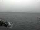./images/koeye/fitz-hugh/20170301/fitz-hugh20170301_172704.jpg