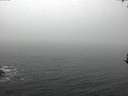 ./images/koeye/fitz-hugh/20170306/fitz-hugh20170306_075718.jpg