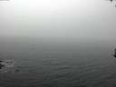 ./images/koeye/fitz-hugh/20170306/fitz-hugh20170306_080003.jpg