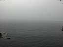 ./images/koeye/fitz-hugh/20170306/fitz-hugh20170306_082718.jpg