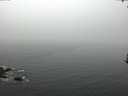 ./images/koeye/fitz-hugh/20170306/fitz-hugh20170306_085719.jpg