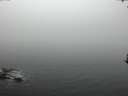 ./images/koeye/fitz-hugh/20170306/fitz-hugh20170306_092719.jpg
