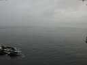 ./images/koeye/fitz-hugh/20170306/fitz-hugh20170306_095719.jpg