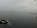 ./images/koeye/fitz-hugh/20170306/fitz-hugh20170306_100002.jpg