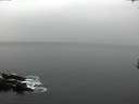 ./images/koeye/fitz-hugh/20170306/fitz-hugh20170306_102718.jpg