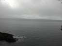 ./images/koeye/fitz-hugh/20170306/fitz-hugh20170306_112719.jpg
