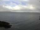 ./images/koeye/fitz-hugh/20170306/fitz-hugh20170306_115718.jpg