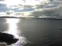 ./images/koeye/fitz-hugh/20170306/fitz-hugh20170306_160003.jpg