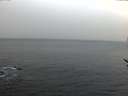 ./images/koeye/fitz-hugh/20170307/fitz-hugh20170307_075707.jpg