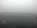./images/koeye/fitz-hugh/20170307/fitz-hugh20170307_085707.jpg