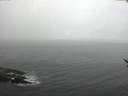 ./images/koeye/fitz-hugh/20170307/fitz-hugh20170307_112706.jpg