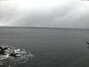 ./images/koeye/fitz-hugh/20170308/fitz-hugh20170308_065706.jpg