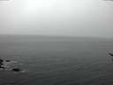 ./images/koeye/fitz-hugh/20170308/fitz-hugh20170308_072707.jpg