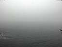 ./images/koeye/fitz-hugh/20170308/fitz-hugh20170308_082707.jpg