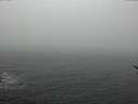 ./images/koeye/fitz-hugh/20170308/fitz-hugh20170308_085706.jpg