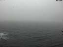 ./images/koeye/fitz-hugh/20170308/fitz-hugh20170308_095707.jpg