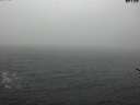 ./images/koeye/fitz-hugh/20170308/fitz-hugh20170308_100001.jpg