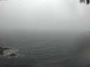 ./images/koeye/fitz-hugh/20170308/fitz-hugh20170308_112708.jpg