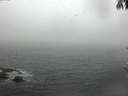 ./images/koeye/fitz-hugh/20170308/fitz-hugh20170308_115708.jpg