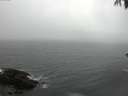 ./images/koeye/fitz-hugh/20170308/fitz-hugh20170308_135707.jpg
