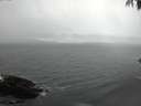 ./images/koeye/fitz-hugh/20170308/fitz-hugh20170308_140002.jpg