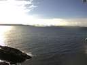 ./images/koeye/fitz-hugh/20170308/fitz-hugh20170308_145706.jpg