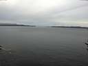 ./images/koeye/fitz-hugh/20170309/fitz-hugh20170309_105711.jpg