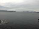 ./images/koeye/fitz-hugh/20170309/fitz-hugh20170309_112711.jpg