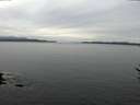 ./images/koeye/fitz-hugh/20170309/fitz-hugh20170309_115710.jpg