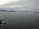 ./images/koeye/fitz-hugh/20170309/fitz-hugh20170309_122403.jpg