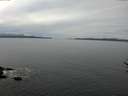 ./images/koeye/fitz-hugh/20170309/fitz-hugh20170309_122702.jpg