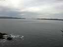 ./images/koeye/fitz-hugh/20170309/fitz-hugh20170309_125702.jpg