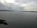 ./images/koeye/fitz-hugh/20170309/fitz-hugh20170309_132703.jpg