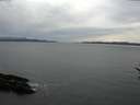./images/koeye/fitz-hugh/20170309/fitz-hugh20170309_135703.jpg