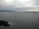 ./images/koeye/fitz-hugh/20170309/fitz-hugh20170309_140001.jpg