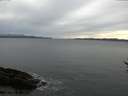 ./images/koeye/fitz-hugh/20170309/fitz-hugh20170309_145702.jpg