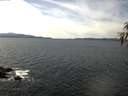 ./images/koeye/fitz-hugh/20170310/fitz-hugh20170310_132703.jpg