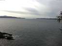 ./images/koeye/fitz-hugh/20170310/fitz-hugh20170310_140001.jpg