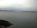 ./images/koeye/fitz-hugh/20170311/fitz-hugh20170311_062705.jpg