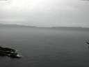 ./images/koeye/fitz-hugh/20170311/fitz-hugh20170311_085707.jpg