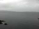 ./images/koeye/fitz-hugh/20170311/fitz-hugh20170311_092707.jpg