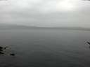 ./images/koeye/fitz-hugh/20170311/fitz-hugh20170311_095706.jpg