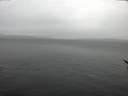 ./images/koeye/fitz-hugh/20170311/fitz-hugh20170311_105706.jpg
