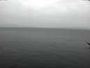./images/koeye/fitz-hugh/20170311/fitz-hugh20170311_115707.jpg