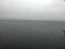 ./images/koeye/fitz-hugh/20170311/fitz-hugh20170311_120002.jpg