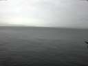 ./images/koeye/fitz-hugh/20170311/fitz-hugh20170311_121207.jpg