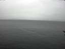 ./images/koeye/fitz-hugh/20170311/fitz-hugh20170311_121503.jpg