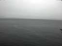 ./images/koeye/fitz-hugh/20170311/fitz-hugh20170311_121802.jpg