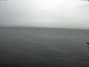 ./images/koeye/fitz-hugh/20170311/fitz-hugh20170311_122102.jpg