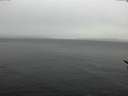 ./images/koeye/fitz-hugh/20170311/fitz-hugh20170311_122401.jpg